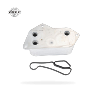 ECHANGEUR TEMPERATURE MOTEUR N20N55